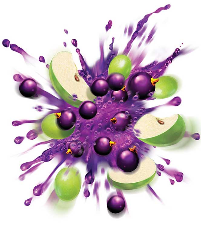 HonestGainzz  Nutrition